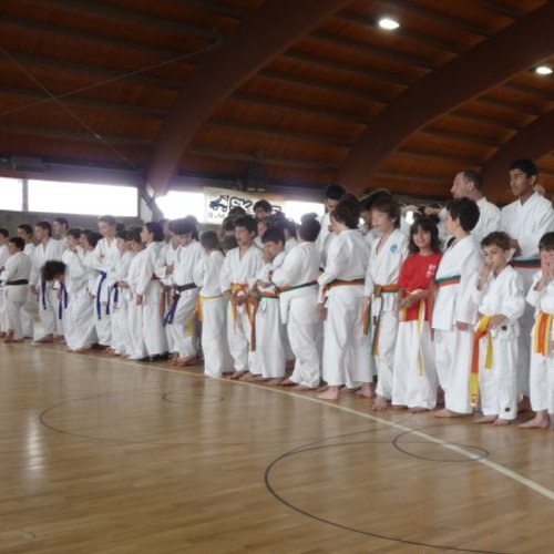 Festa del Karate  -1